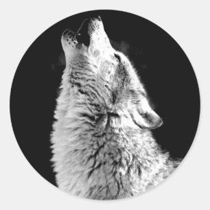 Adesivo Redondo Tendy Black White Wolf Howling Moon Photo Sticker