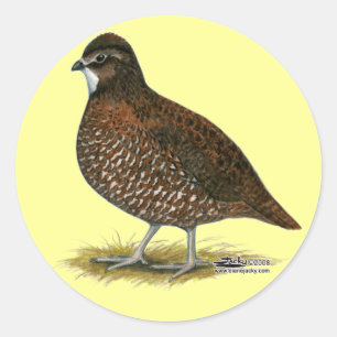 Adesivo Redondo Tennessee Red Quail