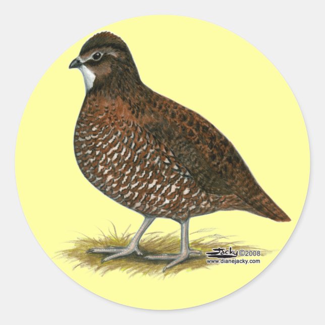 Adesivo Redondo Tennessee Red Quail (Frente)