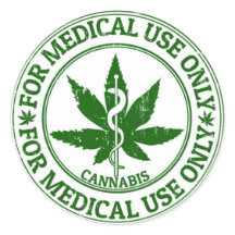 Terapêutica com plantas medicinais