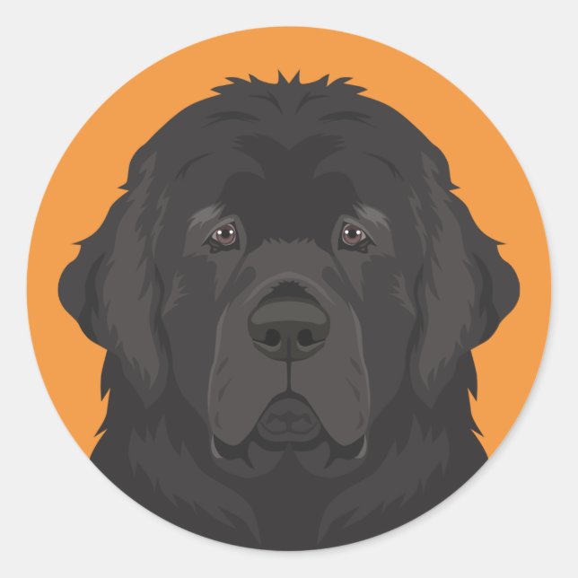 Adesivo Redondo Terra Nova (Frente)