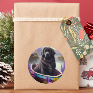 Adesivo Redondo Terra Nova em um Paddle: Uma Aventura Cênica