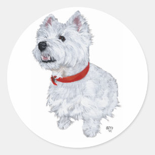 Adesivo Redondo Terrier Branco do West Highland - Olhando para Cim