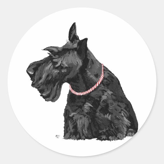 Adesivo Redondo Terrier Escocês Curioso (Frente)