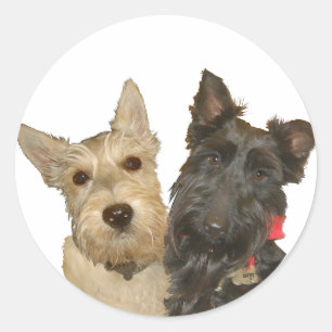Adesivo Redondo Terriers Escoceses Trigo e Preto