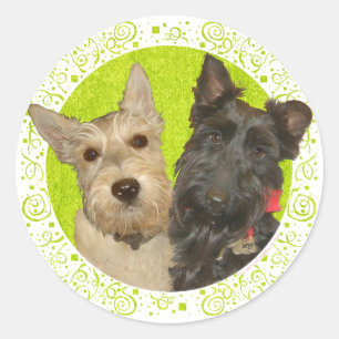 Adesivo Redondo Terriers Escoceses Trigo e Preto