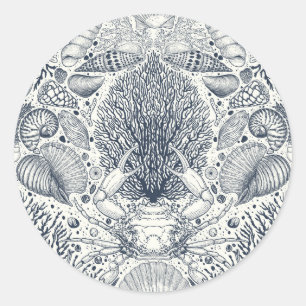 Adesivo Redondo Tesouros de praia, conchas marinhas, caranguejo, c