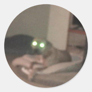 Adesivo Redondo test