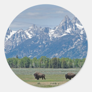 Adesivo Redondo Teton Buffalo Sticker