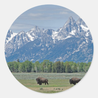 Adesivo Redondo Teton Buffalo Sticker