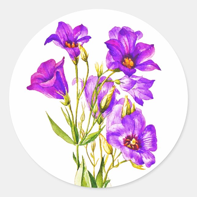 Adesivo Redondo Texas Bluebells Eustoma Russellianum Watercolor (Frente)