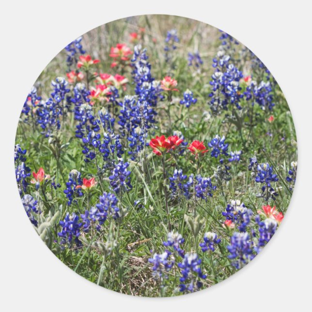 Adesivo Redondo Texas Bluebonnets e Indian Paintbrush Willowers (Frente)