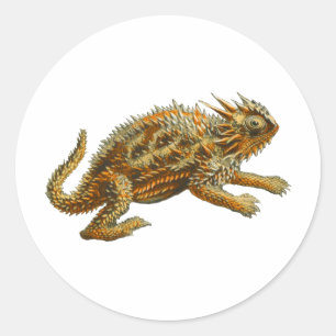 Adesivo Redondo Texas Horned Lizard