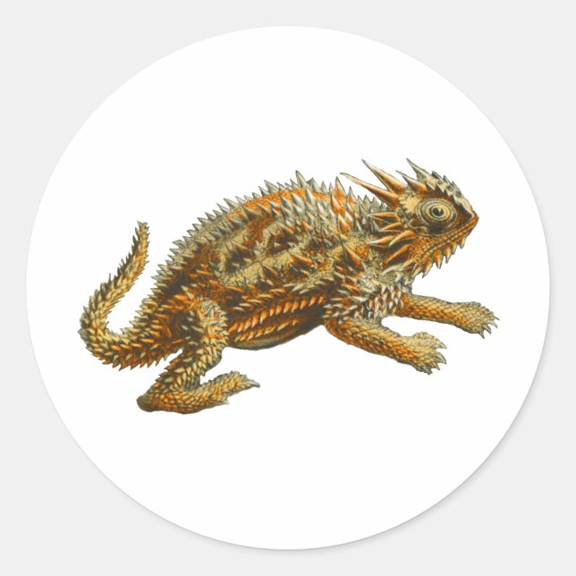 Adesivo Redondo Texas Horned Lizard (Frente)