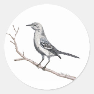 Adesivo Redondo Texas Mockingbird Sticker