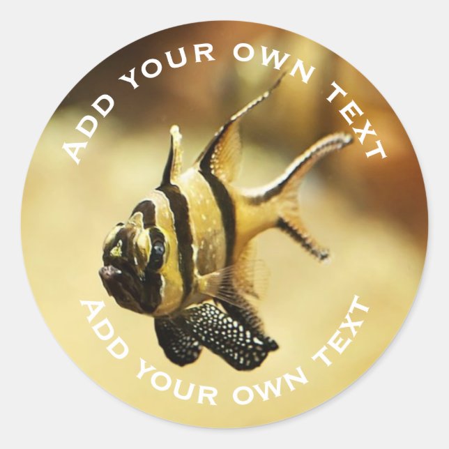 Adesivo Redondo Texto Personalizado Submarino de Stripy Angelfish  (Frente)