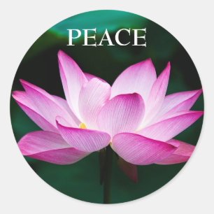 Adesivo Redondo Texto Personalizado Zen Pink Lotus Flower Peace St