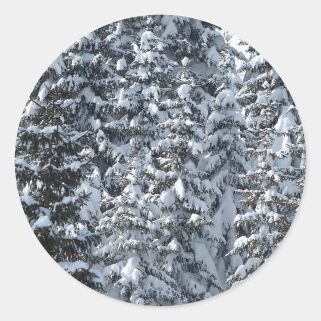 Adesivo Redondo Textura de árvore de abertura de neve (Frente)