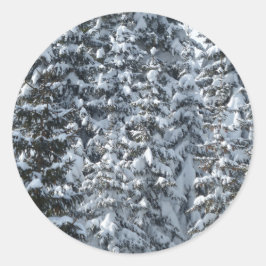 Adesivo Redondo Textura de árvore de abertura de neve