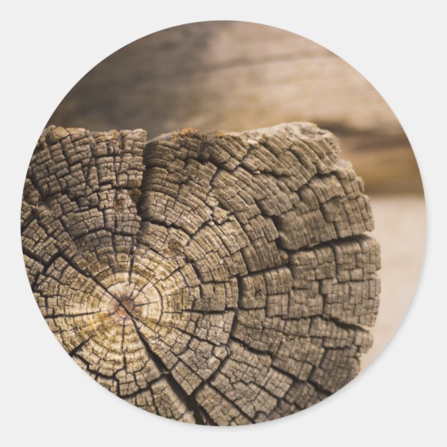 Adesivo Redondo Texturas de Cabina Antigas (Frente)