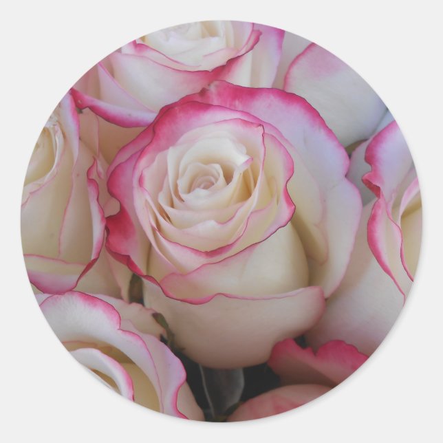 Adesivo Redondo Thamar (Frente)