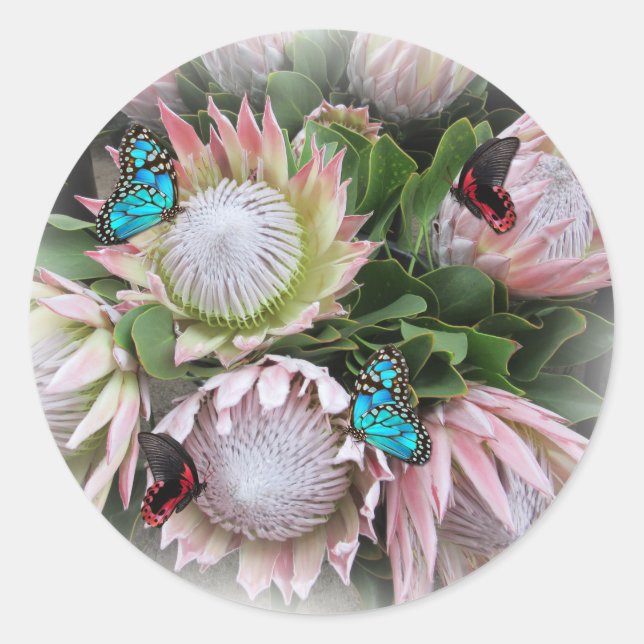 Adesivo Redondo The King Protea  (Frente)