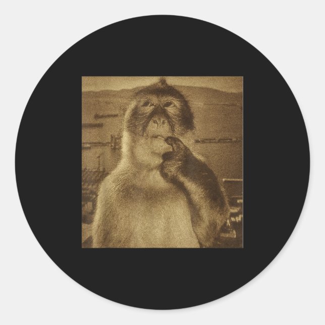 Adesivo Redondo Thinking Monkey Meme Vintage Retro  (Frente)