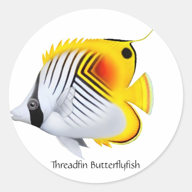 Adesivo Redondo Threadfin Auriga Borboleta Peixe Personalizável (Frente)