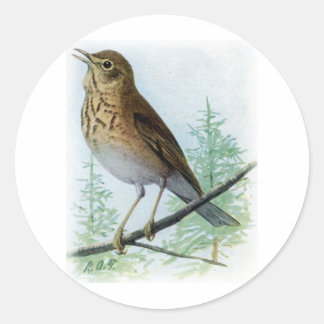 Adesivo Redondo Thrush apoiado pelo Russet