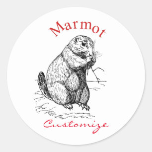Adesivo Redondo Thunder_Cove de Animais Marmotes