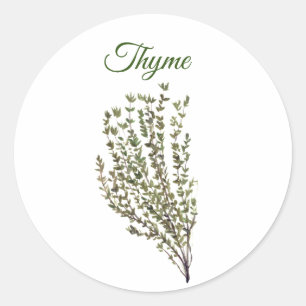 Adesivo Redondo Thyme Herb Greeneren Kitchen Culinária Verde