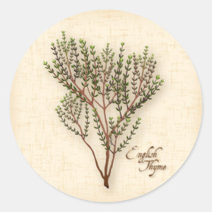Adesivo Redondo Thyme Herb Stickers
