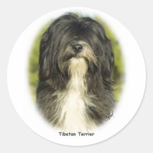 Adesivo Redondo Tibetano Terrier