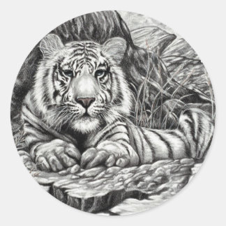 Adesivo Redondo TIGER BRANCO por Diana S Martin