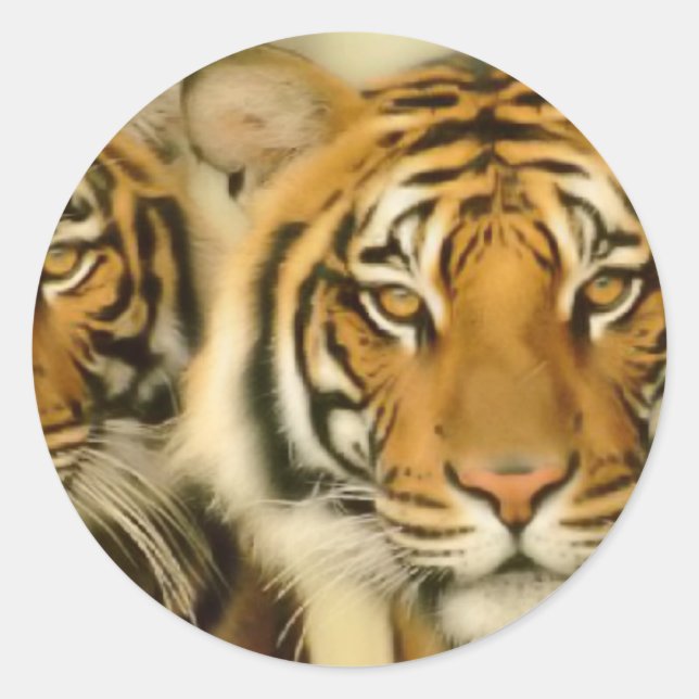 Adesivo Redondo Tiger Eyes (Frente)