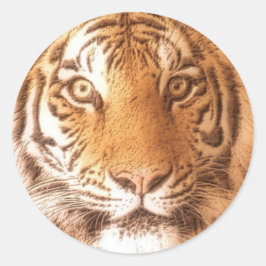 Adesivo Redondo Tiger Face - Sticker