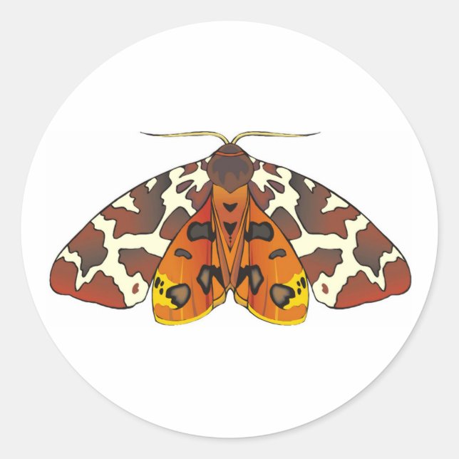 Adesivo Redondo Tiger Moth (Frente)