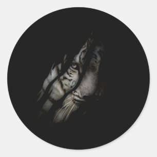 Adesivo Redondo Tigre Branco Rosto Rasgado Garra Selvagem Safari A