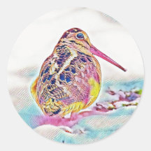 Timberdoodle - Vinhetas Grandes