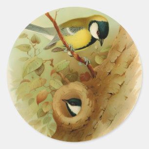 Adesivo Redondo Tinta excelente- Pássaro colorido, Arte