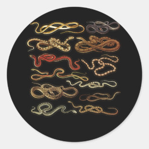 Adesivo Redondo Tipos de Cobras Herpetólogos