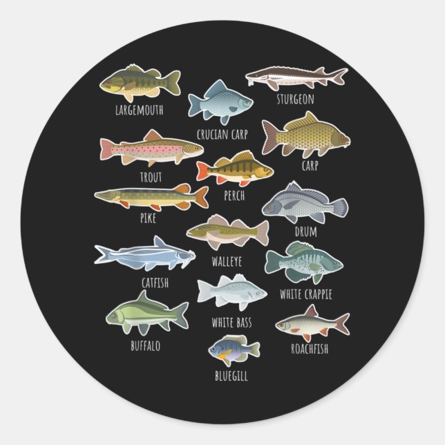 Adesivo Redondo Tipos De Espécies De Peixes Águas frescas (Frente)