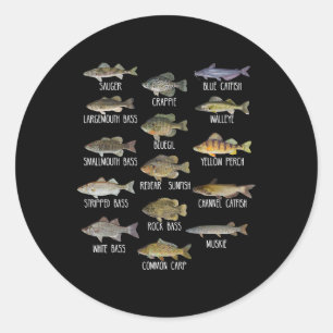 Adesivo Redondo Tipos De Espécies De Peixes De Água Doce Biologia