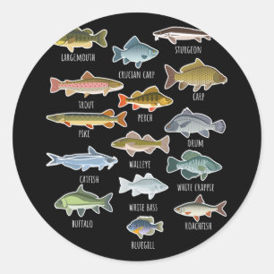 Adesivo Redondo Tipos de Espécies de Peixes de Água Doce Pesca
