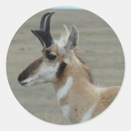 Adesivo Redondo Tiro de Perfil da Cabeça de Antilope A29