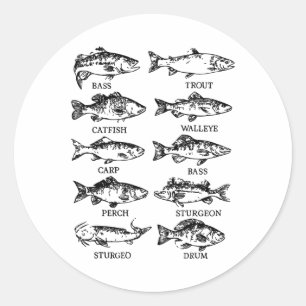 Adesivo Redondo Todler Água fresca Peixe Engraçado Pescadores Home