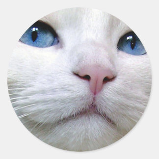 Adesivo Redondo Tom Sticker