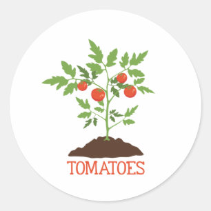 Adesivo Redondo Tomate