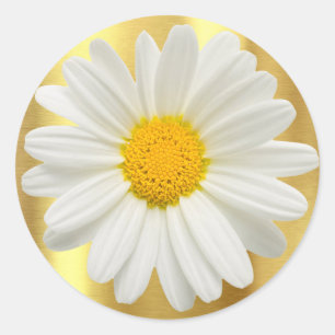 Adesivo Redondo Torta de Cupcake de Ouro Daisy Envelope Favor Pres