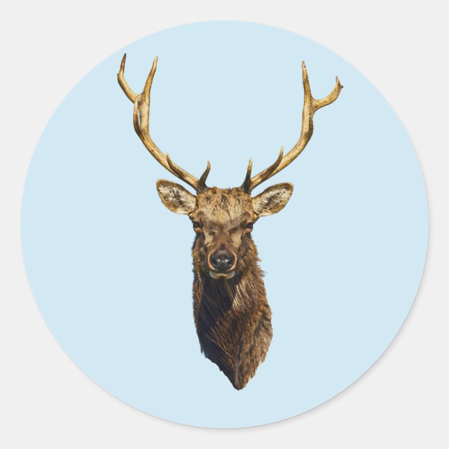 Adesivo Redondo Touro Elk Cabeça Natureza animal Arte selvagem (Frente)
